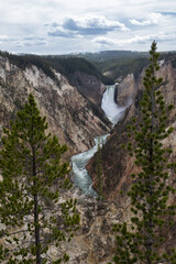 Yellowstone Falls Vertical Image, Wyoming National Parks