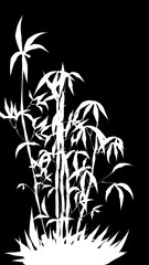 palm tree silhouette