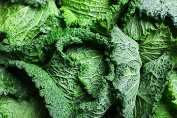 Fresh ripe savoy cabbage as background, closeup