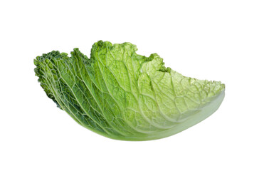 Leaf of fresh savoy cabbage isolated on white