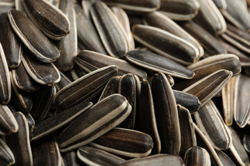 Raw sunflower seeds as background, closeup view