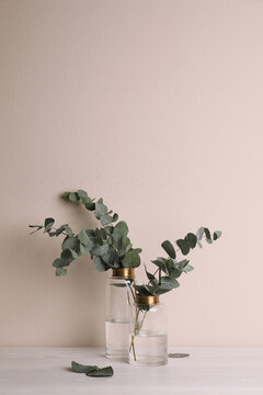 Vases with beautiful eucalyptus branches on white wooden table near beige wall. Space for text