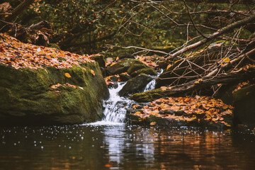 Fall at Honey Creek Loop Trail at Big South Fork National Recreation Area in central Tennessee 