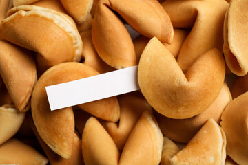 Paper with prediction on pile of fortune cookies, closeup