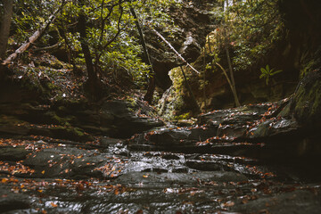 Fall at Honey Creek Loop Trail at Big South Fork National Recreation Area in central Tennessee 
