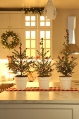 Fototapeta na wymiar Small Christmas trees and festive decor in kitchen