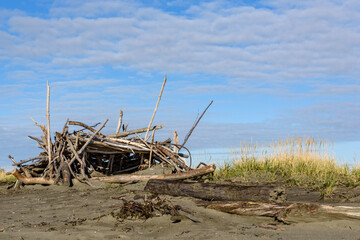 Shelter built out of driftwood on the beach at Damon Point, Ocean Shores Peninsula, Washington State

