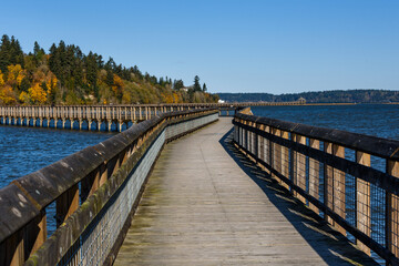 Fototapeta premium Nisqually Estuary Boardwalk Trail on a sunny fall day, Nisqually National Wildlife Refuge, Washington State 