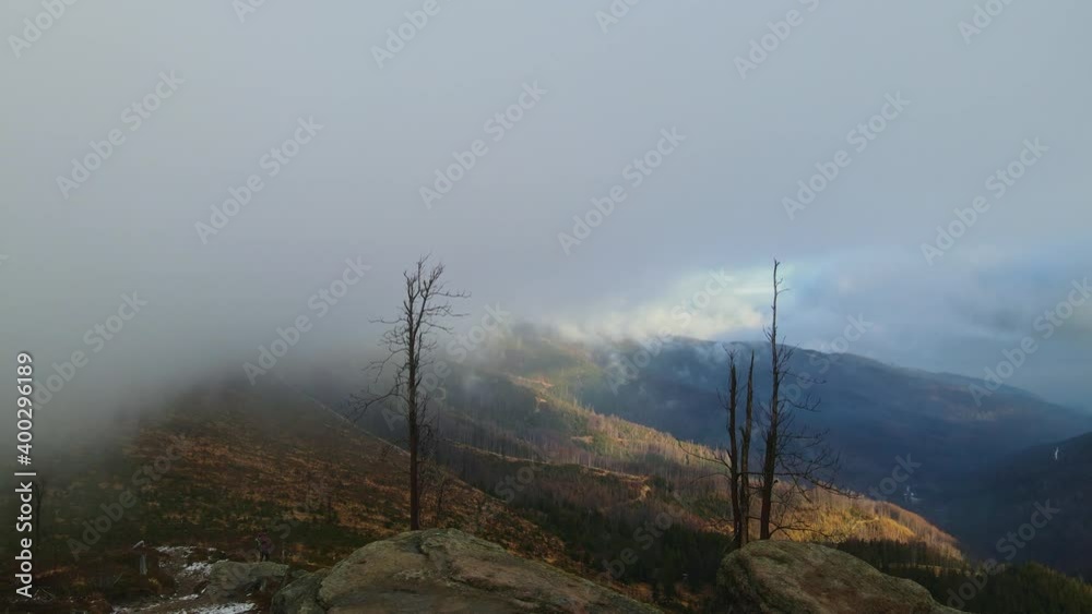 Wall mural aerial footage of beskidy mountains in clouds, view from malinowska skała at dolina zimnika and skrz