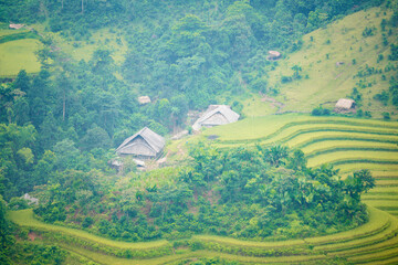 Beautiful view of Rice terrace at Hoang Su Phi. Viewpoint in Hoang Su Phi district, Ha Giang province, Vietnam