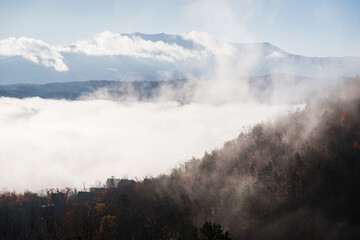 Fototapeta premium Cloud inversion over the Smokey Mountains in Tennessee. 