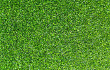 Obraz na płótnie Canvas grass, green