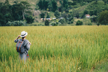 Tourist woman standing in rice paddy field in Sapan village a small village nestled in a forested northern valley of pure air and pristine rivers in Nan province of Thailand.