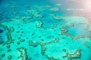 Aerial view of the amazing Queensland Coral Reef from the airplane. Coral patterns overhead view