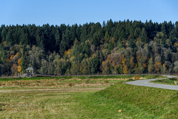 Fototapeta na wymiar Nisqually Estuary Boardwalk Trail and Observation Tower in a fall landscape, Nisqually National Wildlife Refuge, Washington State 