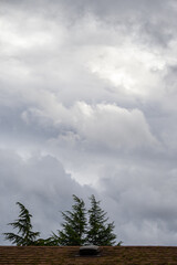 Dramatic stormy sky in shades of gray and white, with rooftop and evergreen treetops, as a nature background
