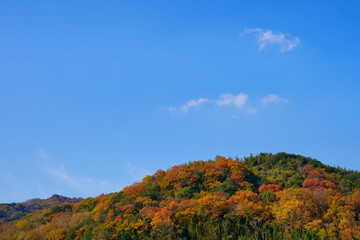 晩秋の空と山