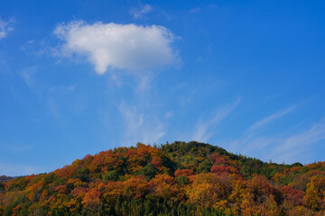 晩秋の空と山
