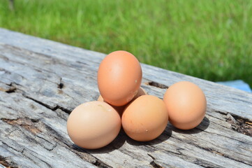 Telur ayam segar - fresh chicken eggs