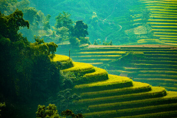 Green Terraced Rice Field in Hoang Su Phi. Viewpoint in Hoang Su Phi district, Ha Giang province,...