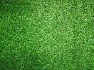 grass, green, field