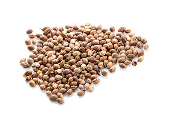 Heap of hemp seeds on white background