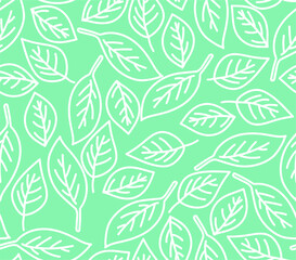 Beautiful vector pattern with hand drawn tree leaves. Birch leaf in seamless digital background