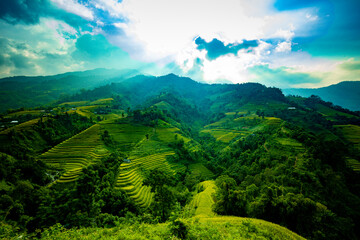 Obraz premium Beautiful view of Rice terrace at Hoang Su Phi. Viewpoint in Hoang Su Phi district, Ha Giang province, Vietnam