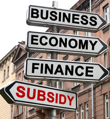 The road indicator on the arrows of which is written - business, economics, finance and SUBSIDY