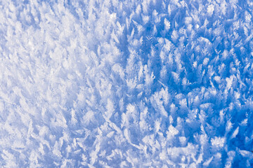 Closeup of pure snow on the sun in December in Russia as a natural background