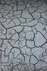 dry cracked soil