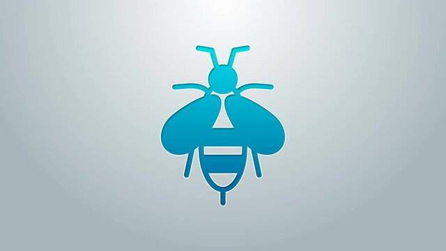 Blue line Bee icon isolated on grey background. Sweet natural food. Honeybee or apis with wings symbol. Flying insect. 4K Video motion graphic animation