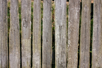 The natural surface of the fence from the old boards in the village. Natural wood boards are nailed with rusty nails. Natural wood texture  close-up.