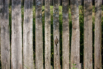 The natural surface of the fence from the old boards in the village. Natural wood boards are nailed with rusty nails. Natural wood texture  close-up.