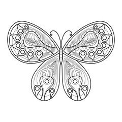 Coloring book pages Butterflies for adult and older children. Hand drawn sketch. Insect for posters or prints decoration. Vector illustration