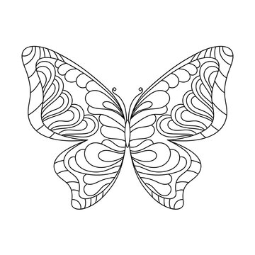 Coloring page. Butterfly. Coloring book for adult and older children.