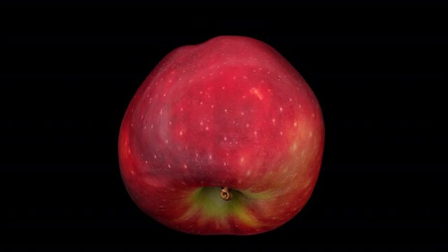 Realistic render of a rotating "Red Delicious" Apple on transparent background (with alpha channel). The video is seamlessly looping, and the object is 3D scanned from a real fruit.
