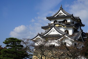 彦根城と青空