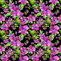  Seamless pattern beautiful delicate petunias