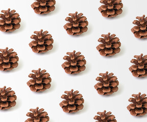 Pine Cone on White Background Repeated, Isolated Pine Cone on White Background