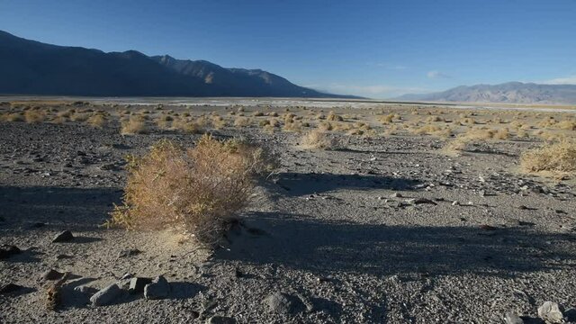 windy desert landscape 