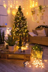 Fototapeta na wymiar photo studio with a tree for christmas