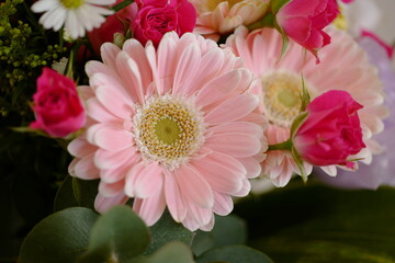 ピンクのガーベラの花束