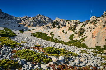 In der Breiten Ries am Schneeberg, Niederösterreich