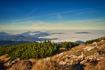 Am Schneeberg, Niederösterreich