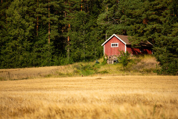 Wooden farmhouse in Scandinavia
