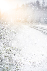 Blurred road through the forest. Winter background