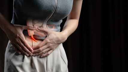 Abdominal pain woman, photo of large intestine on woman body, appendix pain. Health care concept. - obrazy, fototapety, plakaty