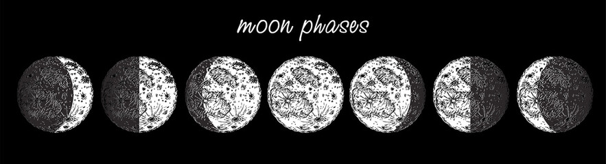 Moon phases. Moon phases icon in sketch style isolated on white background. Astronomy icon. Space. Eclipse. Vector stock