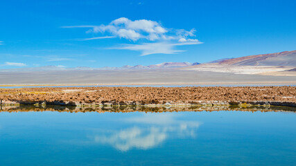 White clouds on blue sky mirroring in a lake. Puna highlands, Argentina